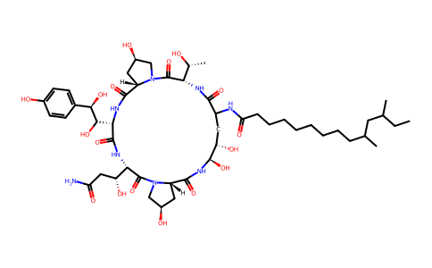 Pneumocandin C0 144074-96-4